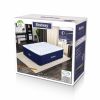 Fashion 20" Queen Air Mattress with Built-in Pump